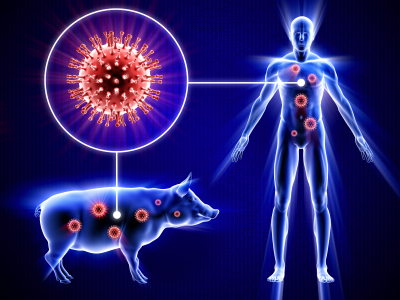 Ayurvedic approach to prevent Swine Flu