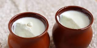 Curd – The lesser known facts