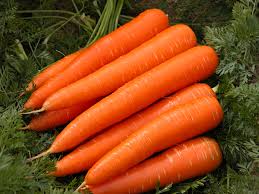 Carrots – The Winter Fruit cum Veggie