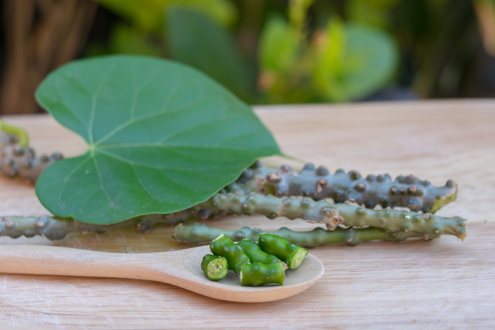 Guduchi – Elixir in Ayurveda herbs