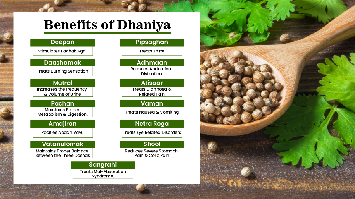 Benifits of Dhaniya 